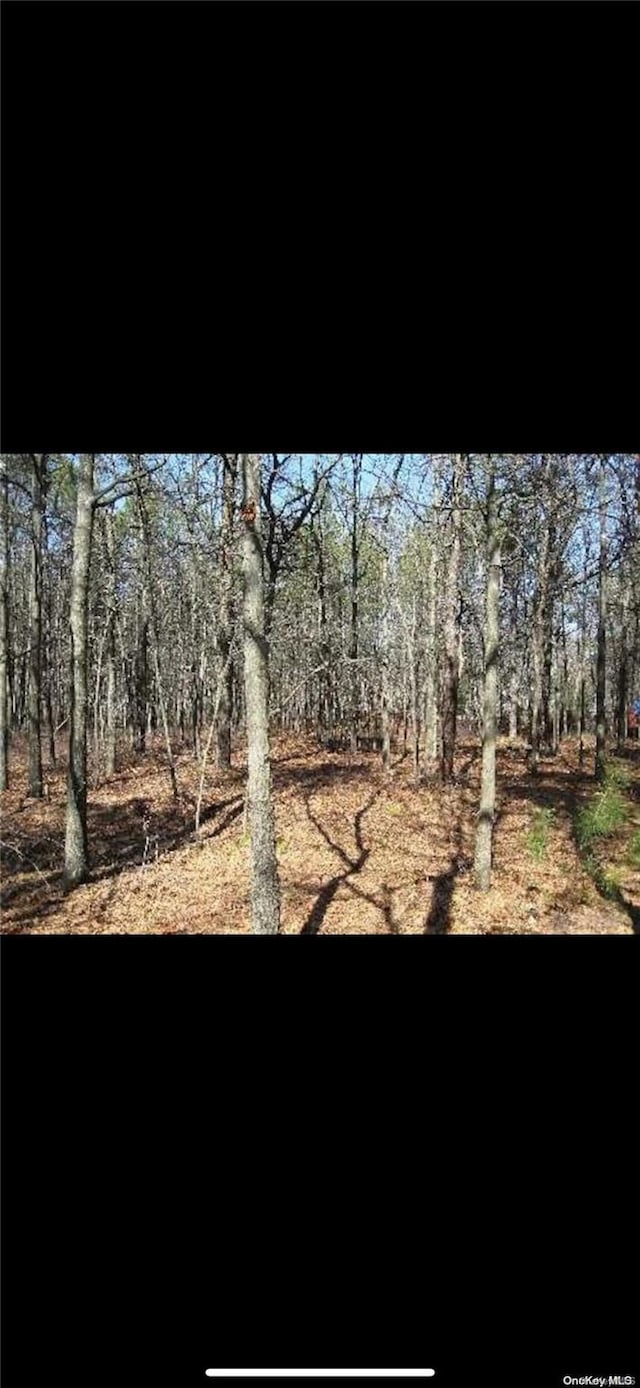 W Yaphank Rd, Coram NY, 11727 land for sale