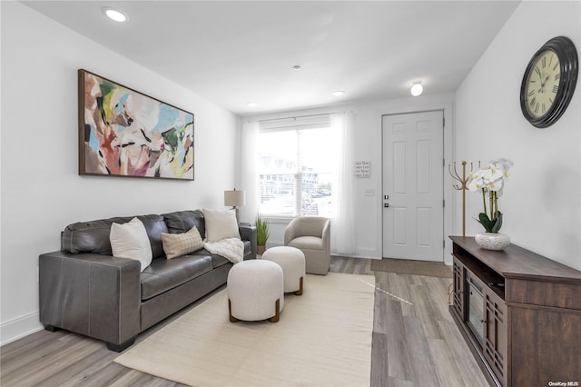 living room with light hardwood / wood-style flooring