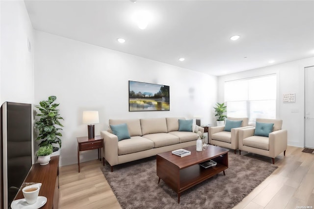 living room featuring light wood-type flooring