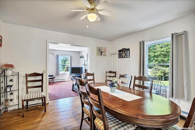 765 Sheep Pen Rd, Call Listing Agent, NY 13849 - dining room featuring baseboard heating, wood finished floors, and a ceiling fan
