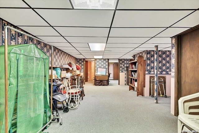 basement with a paneled ceiling and carpet floors