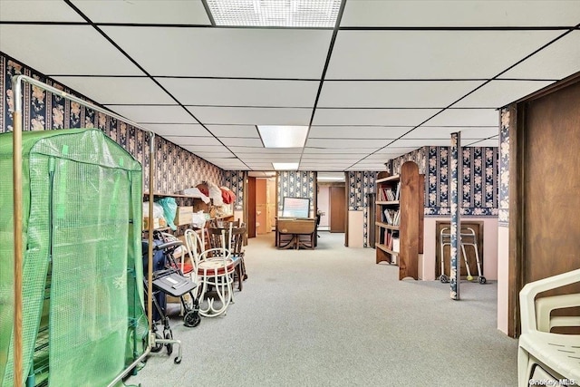 765 Sheep Pen Rd, Call Listing Agent, NY 13849 - basement with carpet flooring and a paneled ceiling