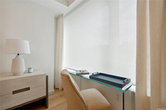 home office featuring light hardwood / wood-style floors