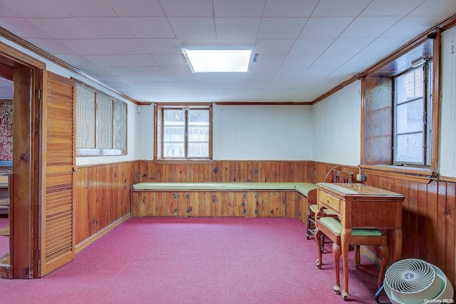 misc room with wooden walls, light colored carpet, and a healthy amount of sunlight