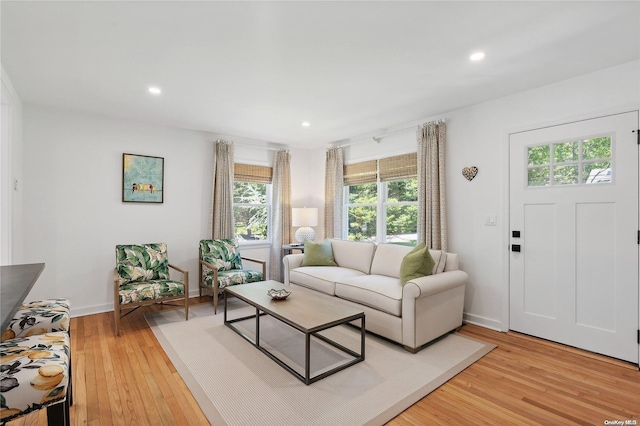 living room with light hardwood / wood-style flooring