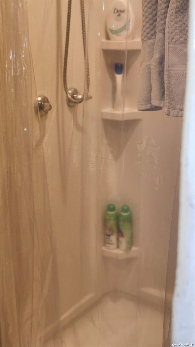 bathroom featuring a shower with shower curtain