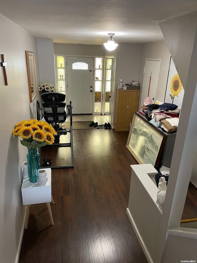 foyer with dark wood-type flooring