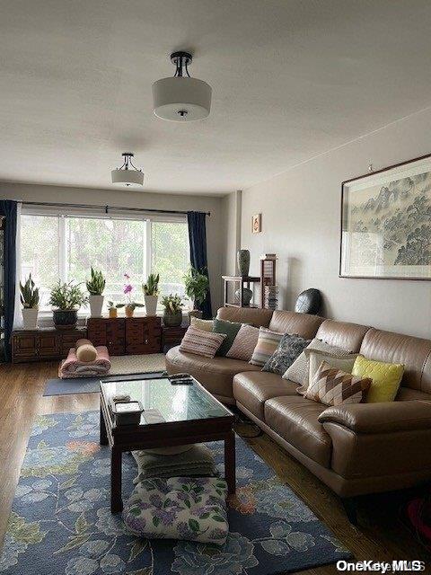 living room featuring wood-type flooring