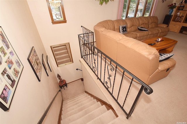 stairway with carpet floors