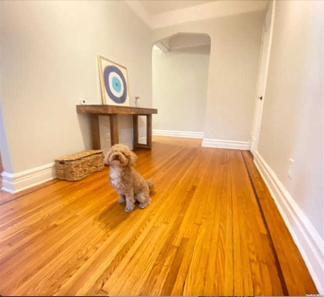 interior space with light wood-type flooring