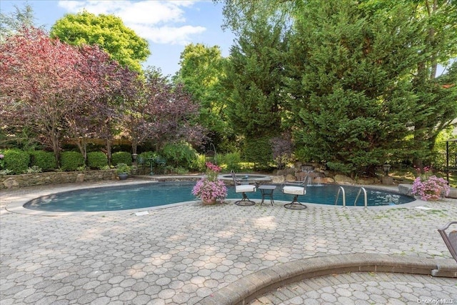 view of pool with a patio