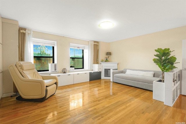 living room with light hardwood / wood-style floors