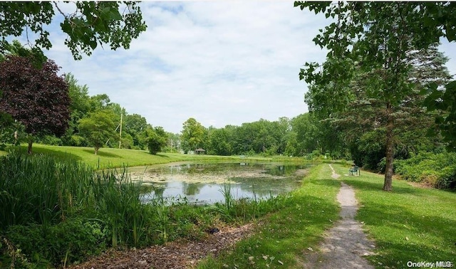 view of water feature