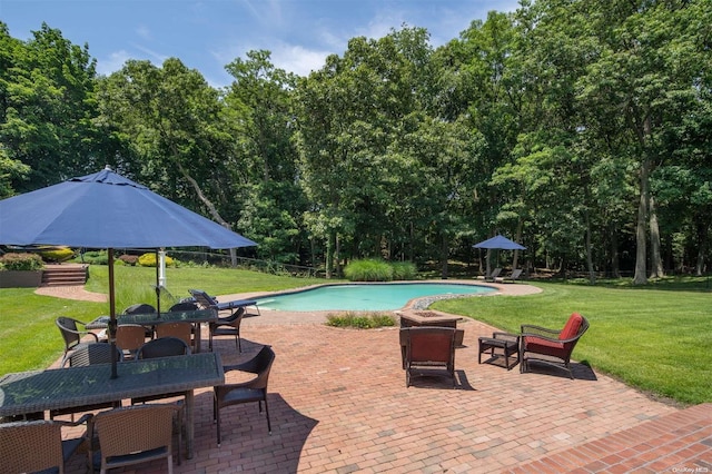 view of pool featuring a patio area and a yard