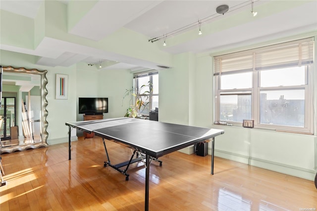 recreation room with hardwood / wood-style flooring and track lighting