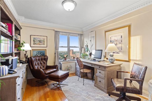 office space featuring light hardwood / wood-style floors and crown molding