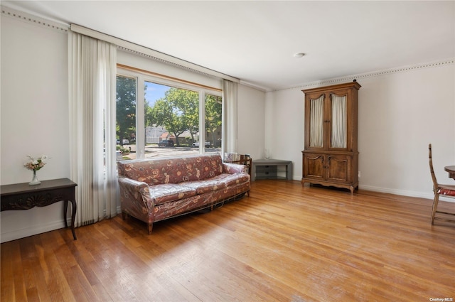 living room featuring light hardwood / wood-style floors and ornamental molding