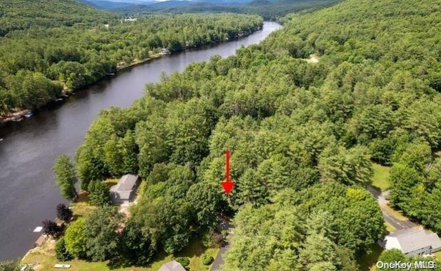 L20 White Birch Dr, Call Listing Agent, NY 12846