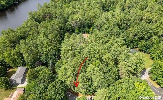 L20 White Birch Dr, Call Listing Agent, NY 12846 - photo 4