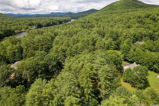 L20 White Birch Dr, Call Listing Agent, NY 12846