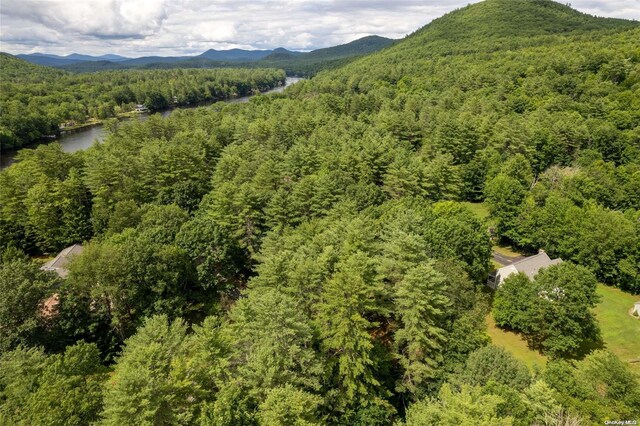 L20 White Birch Dr, Call Listing Agent, NY 12846 - photo 5