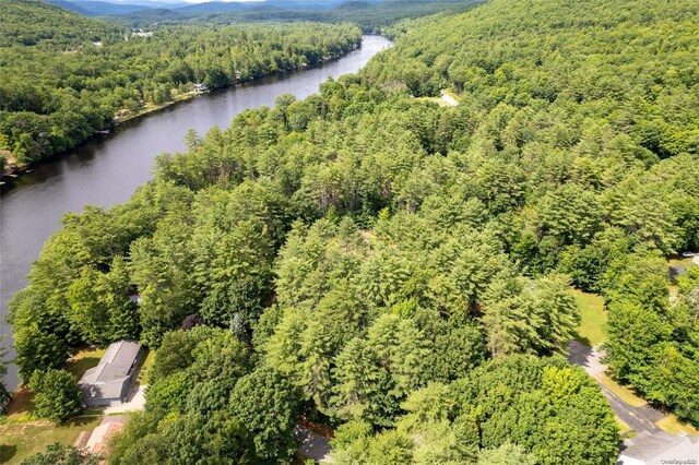 L20 White Birch Dr, Call Listing Agent, NY 12846
