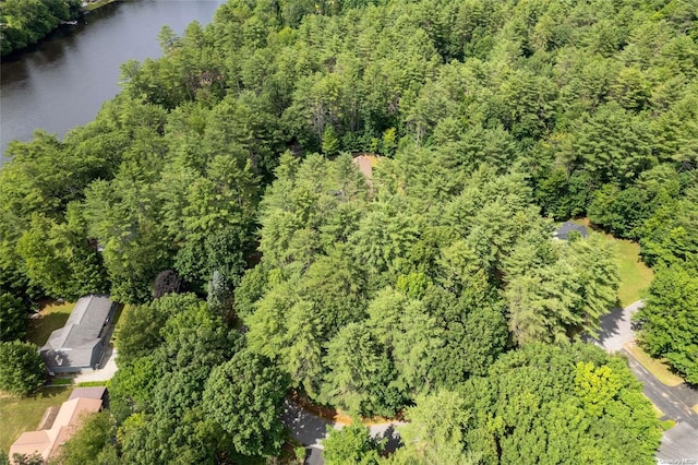 L20 White Birch Dr, Call Listing Agent, NY 12846