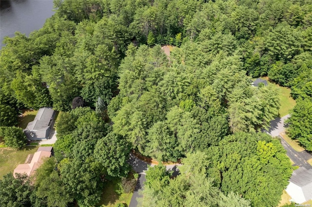 L20 White Birch Dr, Call Listing Agent, NY 12846