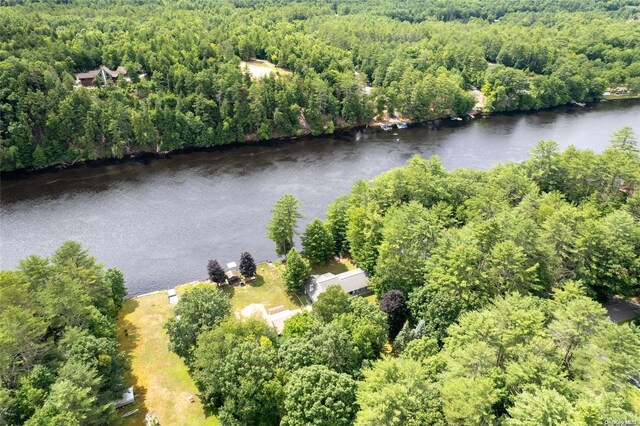 L20 White Birch Dr, Call Listing Agent, NY 12846 - photo 17