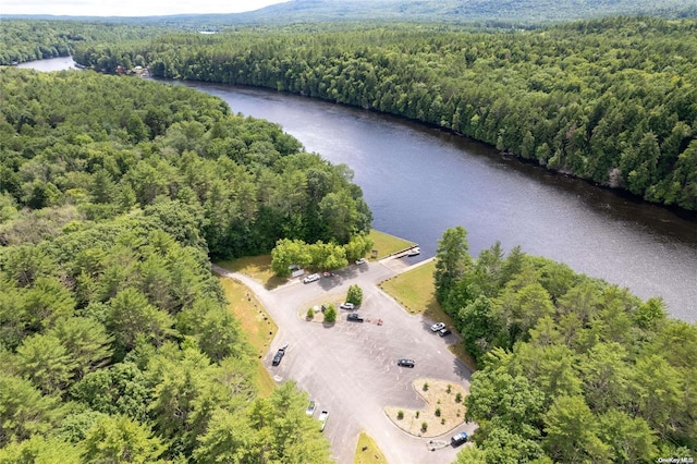 L20 White Birch Dr, Call Listing Agent, NY 12846