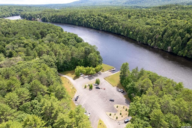 L20 White Birch Dr, Call Listing Agent, NY 12846 - photo 20