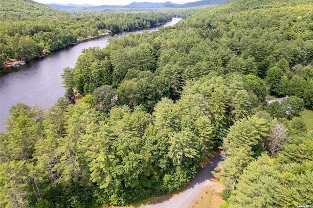L20 White Birch Dr, Call Listing Agent, NY 12846