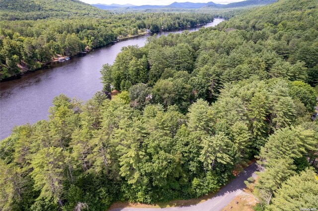 L20 White Birch Dr, Call Listing Agent, NY 12846