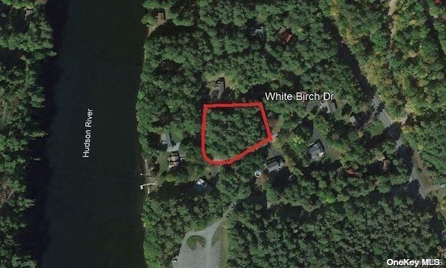 L20 White Birch Dr, Call Listing Agent, NY 12846