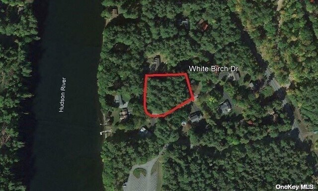 L20 White Birch Dr, Call Listing Agent, NY 12846 - photo 31