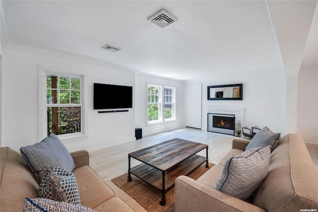 living room featuring light hardwood / wood-style floors, crown molding, and a healthy amount of sunlight