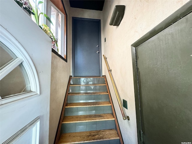 57-44 Seabury St, Elmhurst, NY 11373 - photo 4
