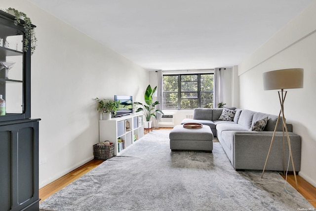 living room featuring hardwood / wood-style flooring