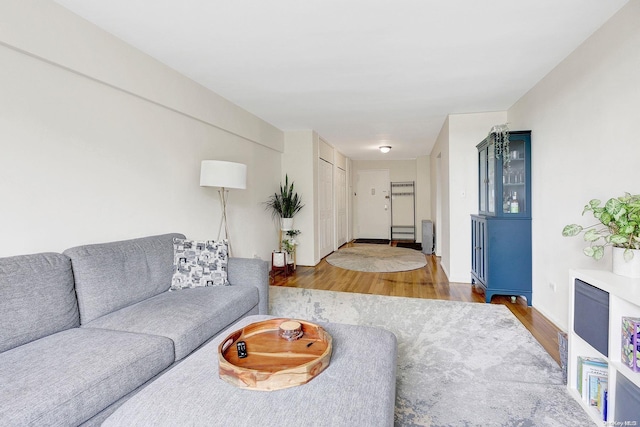 living room featuring dark wood-type flooring