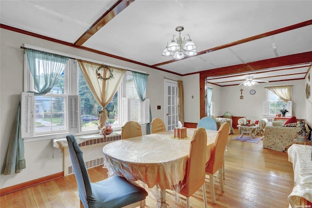 dining area featuring ceiling fan with notable chandelier, light hardwood / wood-style floors, radiator, and a healthy amount of sunlight