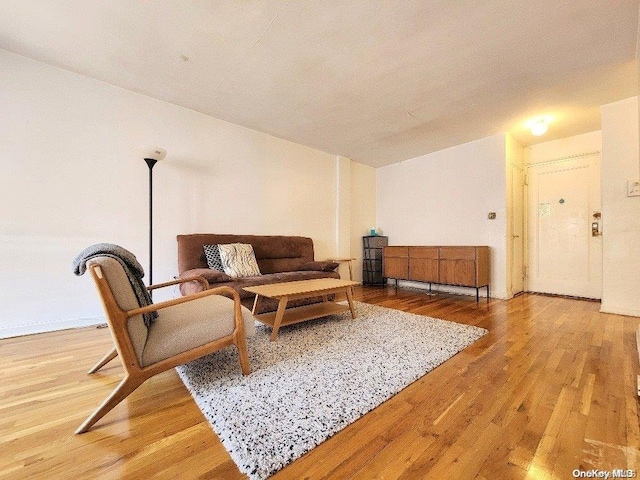 living room featuring hardwood / wood-style floors