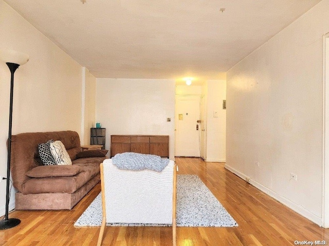 living room featuring light hardwood / wood-style floors