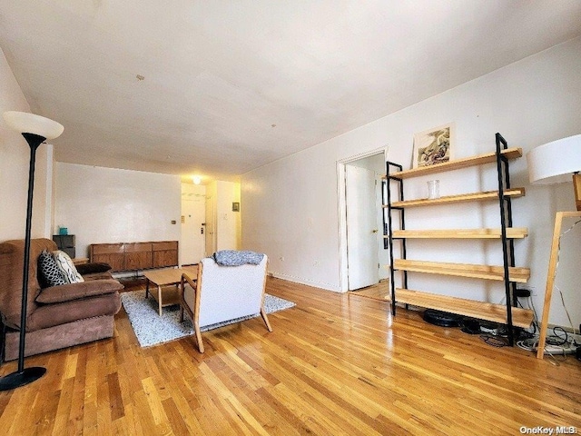 living room with light wood-type flooring