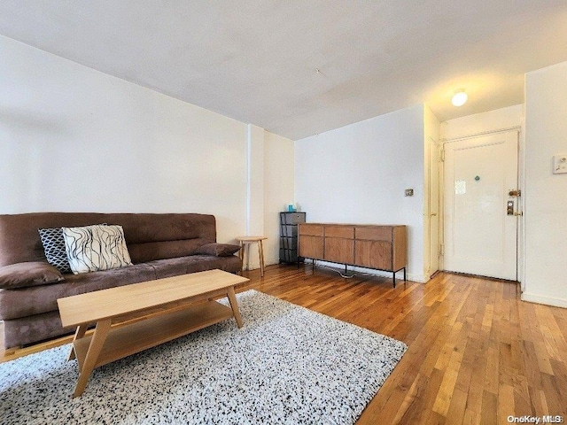 living room featuring hardwood / wood-style floors