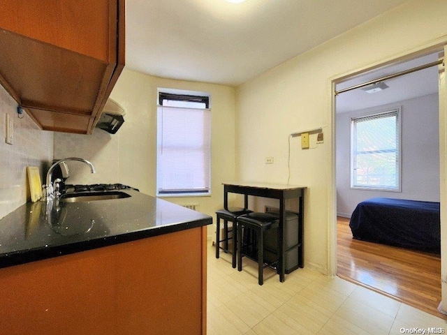 kitchen featuring light hardwood / wood-style floors and sink