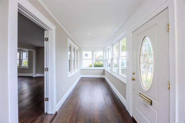 interior space featuring a healthy amount of sunlight, ornamental molding, and dark wood-type flooring