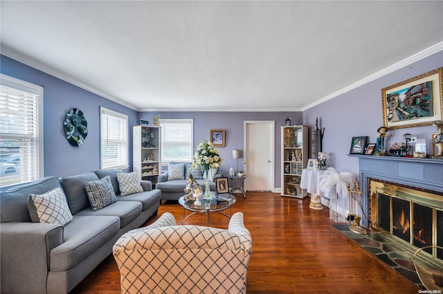 living room with crown molding and dark wood-type flooring