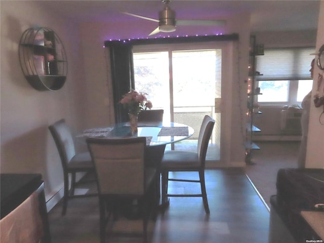 dining space featuring dark hardwood / wood-style flooring and ceiling fan