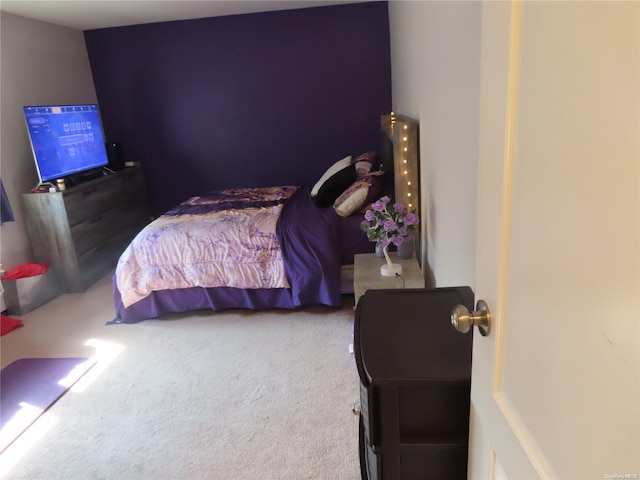 bedroom with carpet floors