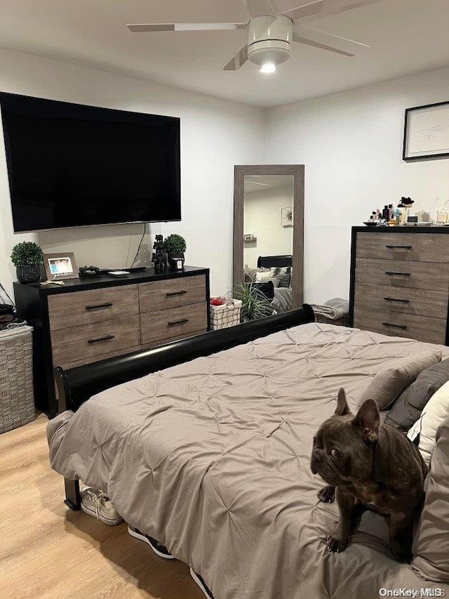 bedroom with light hardwood / wood-style flooring and ceiling fan